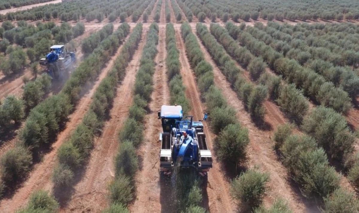 5 طلبات لمشاريع إستراتيجية لتعزيز الأمن الغذائي في السعودية