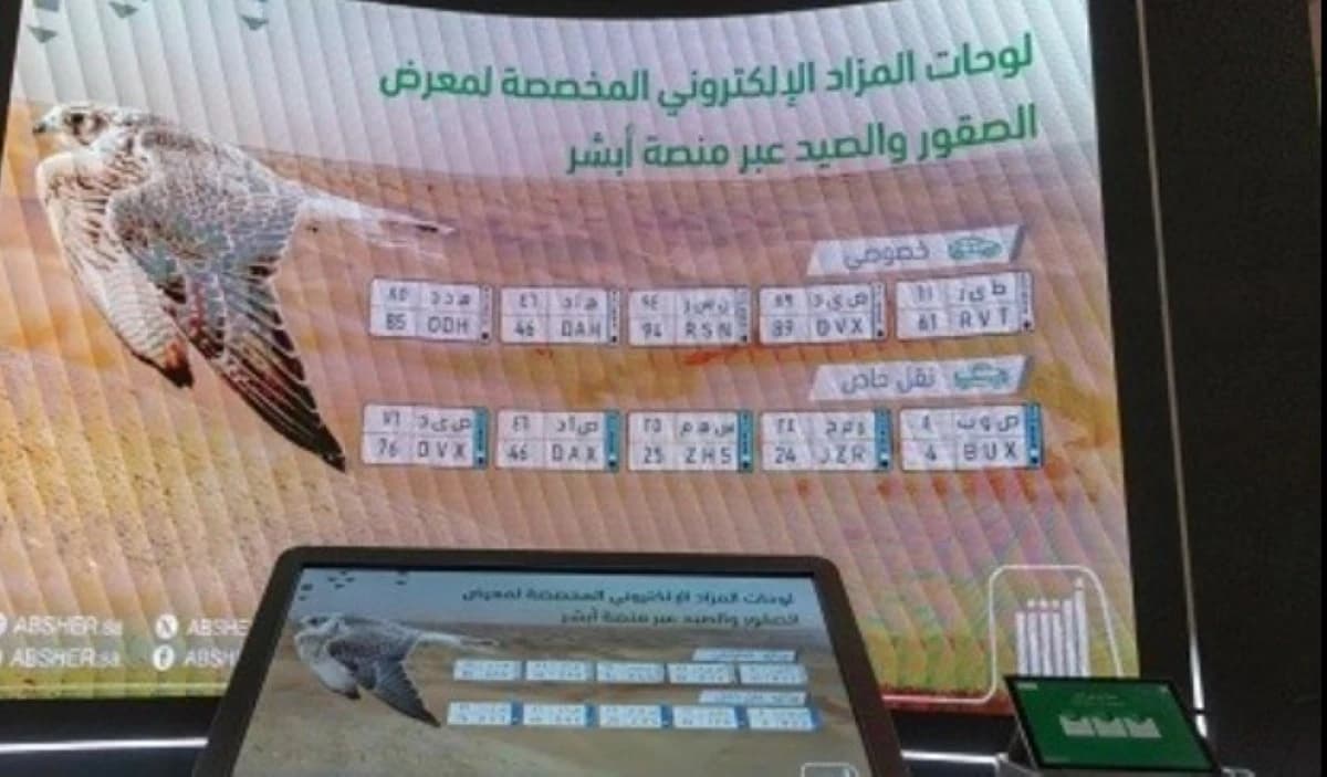 السعودية تطور محفظة رقمية لمالكي اللوحات لاستخدامها كأصول مستقبلا