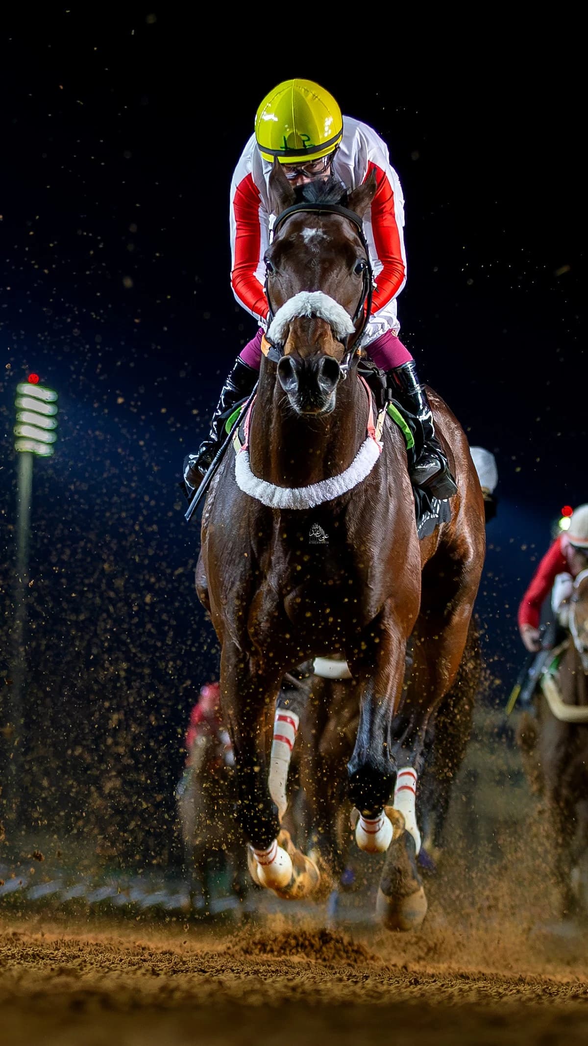 انطلاق جائزة مؤسسة الملك عبدالله الإنسانية للخيل الجمعة المقبلة