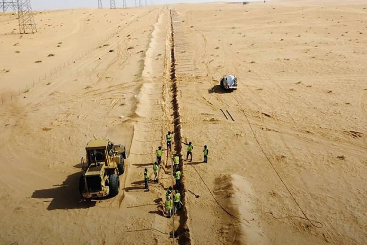 السعودية تعلن انضمام 4 دول جديدة لمبادرة الشرق الأوسط الأخضر