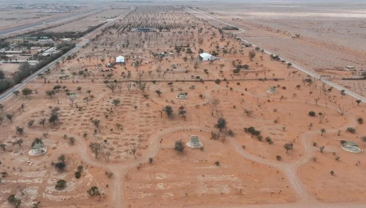 طرح 100 فرصة استثمارية لتعزيز الاستدامة البيئية في 11 منطقة سعودية