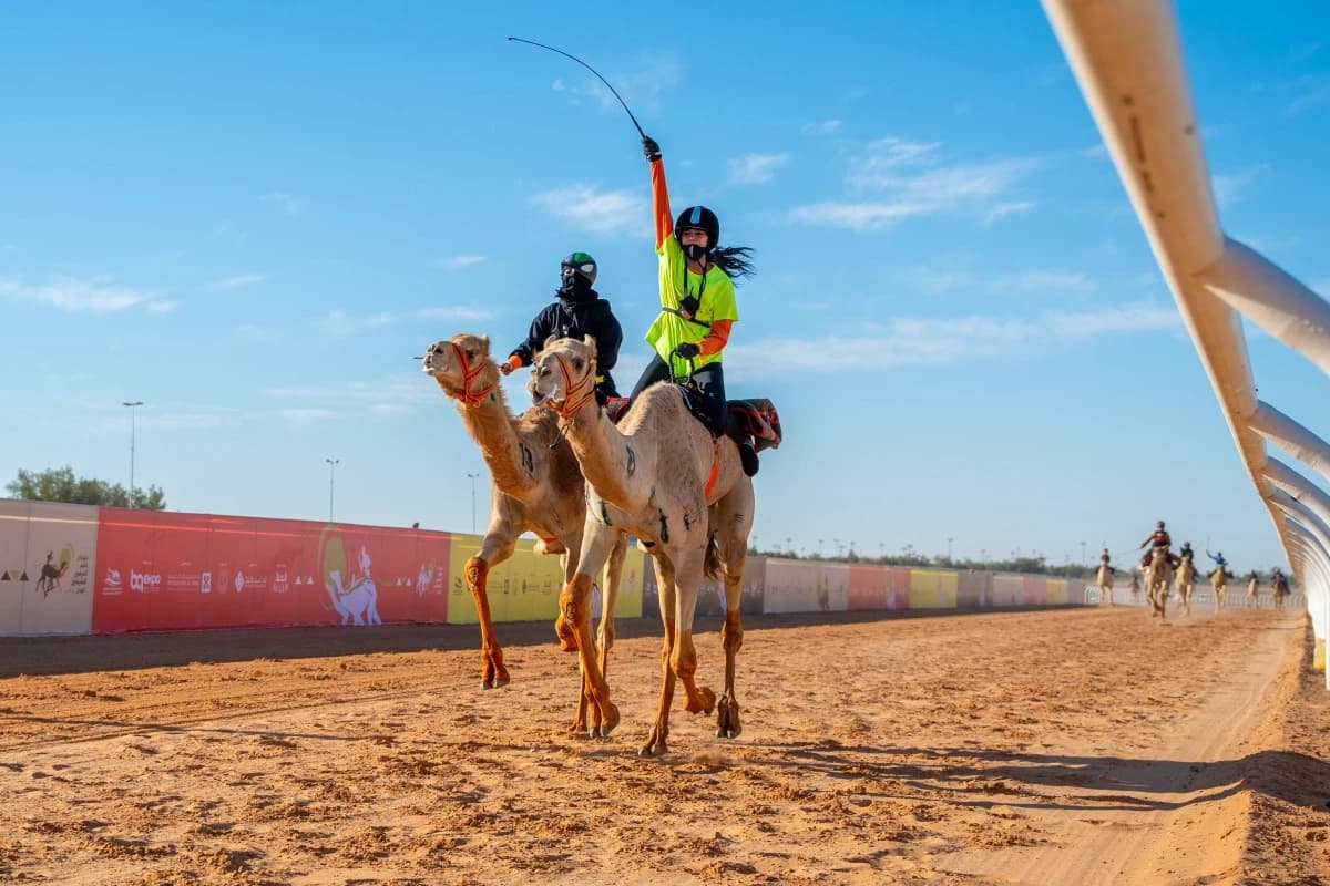 940 ألف ريال يتقاسمها 64 هجانا وهجانة في سباق "الراكب البشري"
