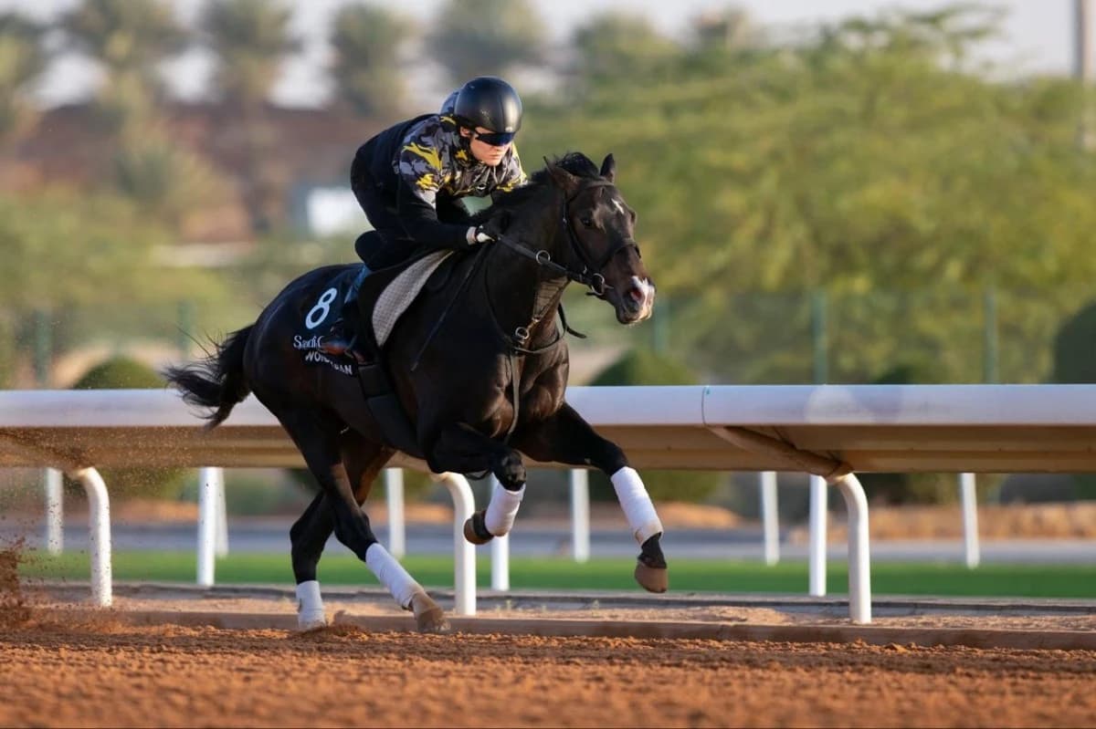 كأس السعودية الأغلى عالميا .. 38.1 مليون دولار على مضمار الخيل