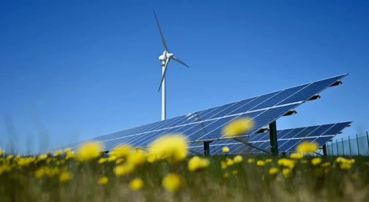 إدارة ترمب تقيد استخدام المكونات الأجنبية في الطاقة النظيفة