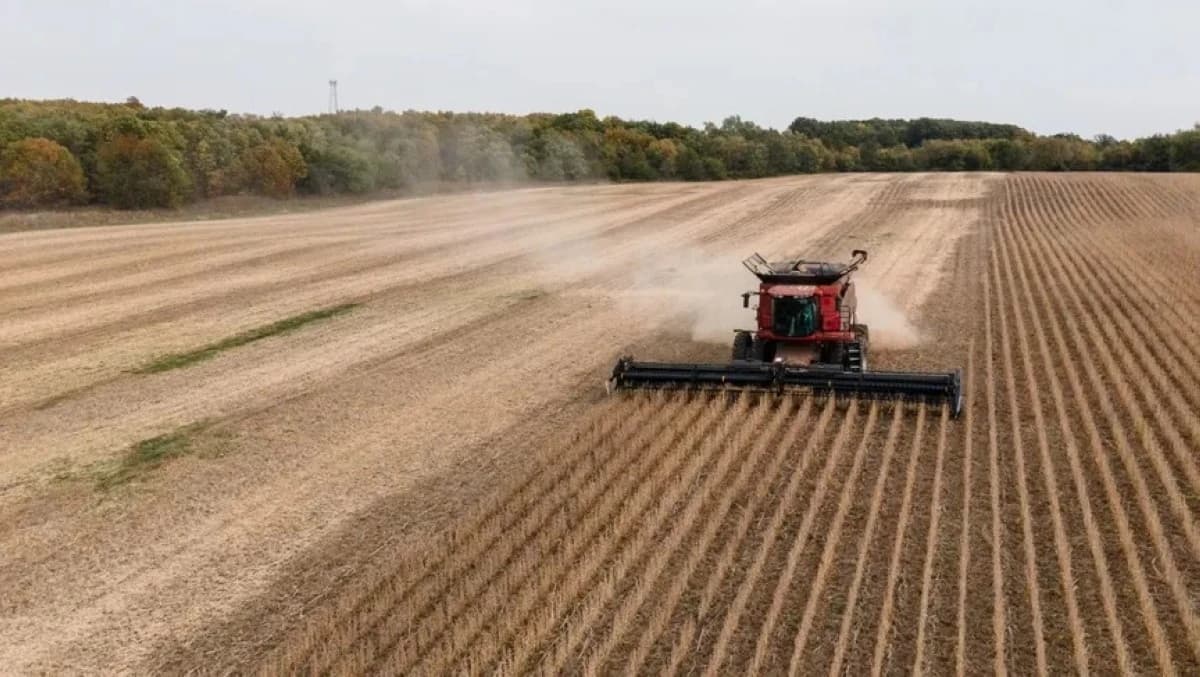 مزارعون أمريكيون يعززون إنتاج فول الصويا مع زيادة طلب الصين