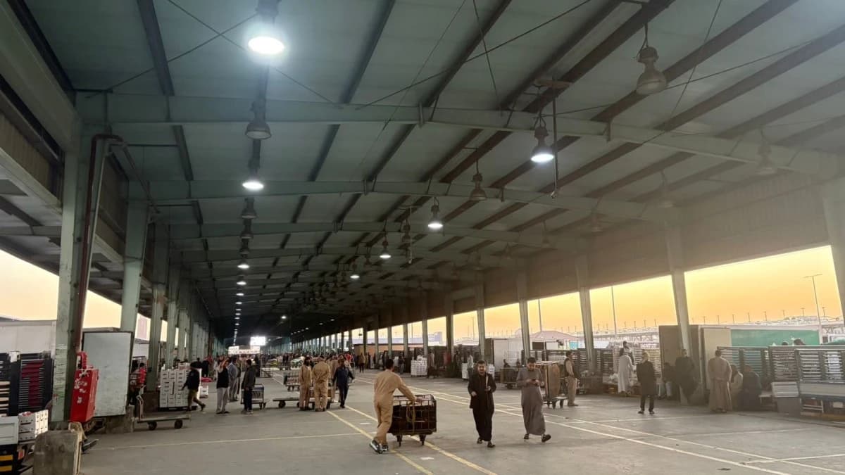 ما سبب تراجعات الأسعار الحادة في سوق الخضروات السعودية؟