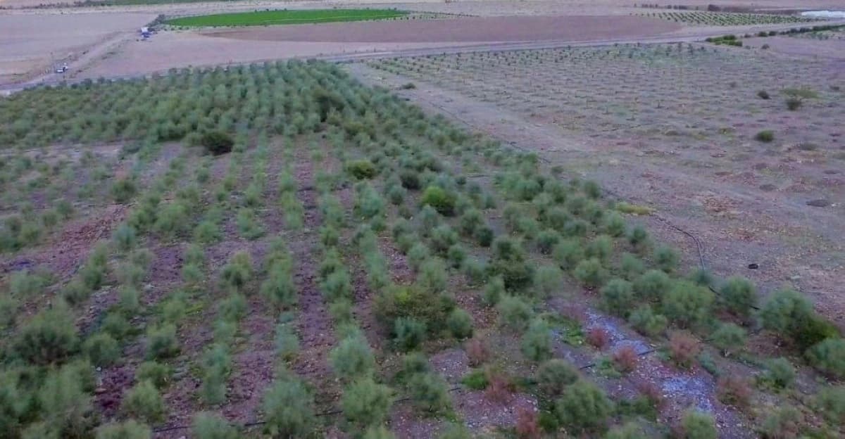 السعودية تطلق خريطة طريق لتبني 350 تقنية مبتكرة في قطاعات البيئة والمياه والزراعة