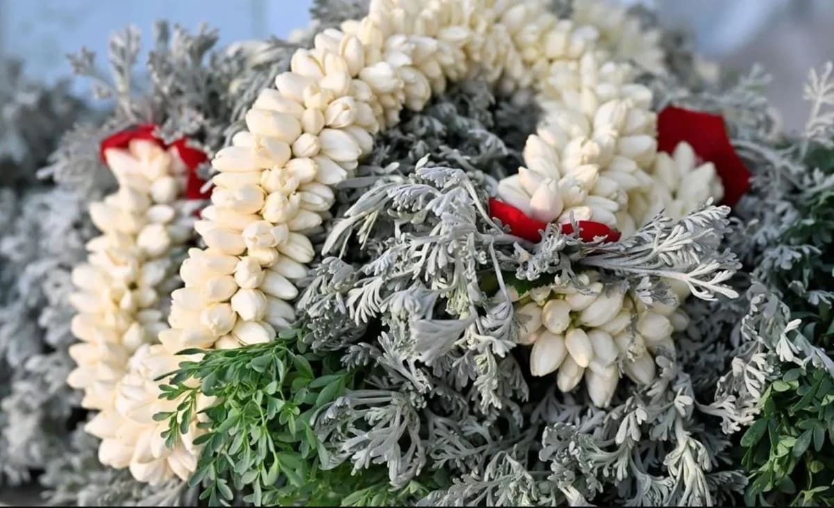 اكتمال مشاريع مدن الورد في جازان بإنتاج سنوي 713 ألف كيلوجرام