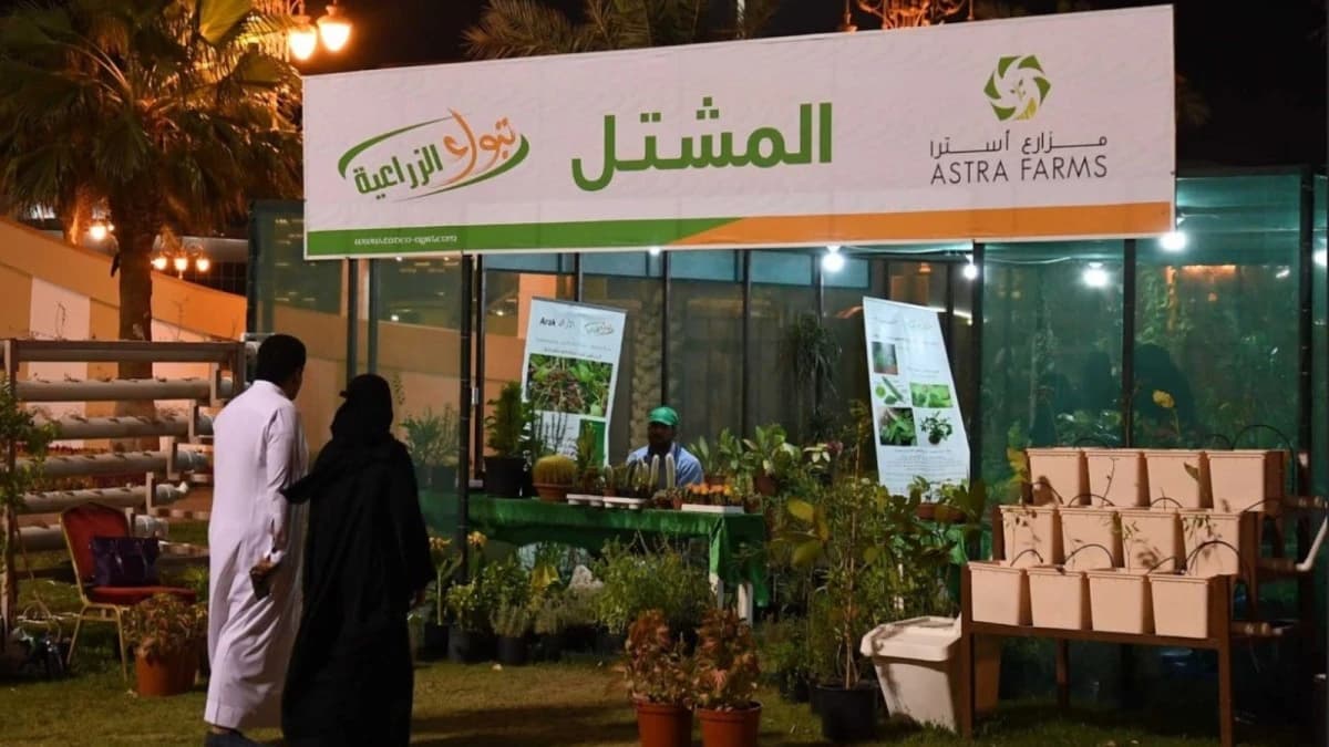 الخسائر المتراكمة لــ "تبوك الزراعية" تتجاوز 77% من رأس المال