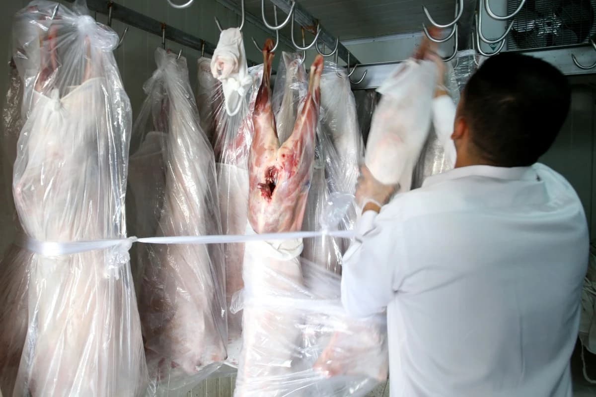 السعودية تطرح 5 فرص استثمارية لتعزيز الأنشطة الزراعية ودعم الثروة الحيوانية