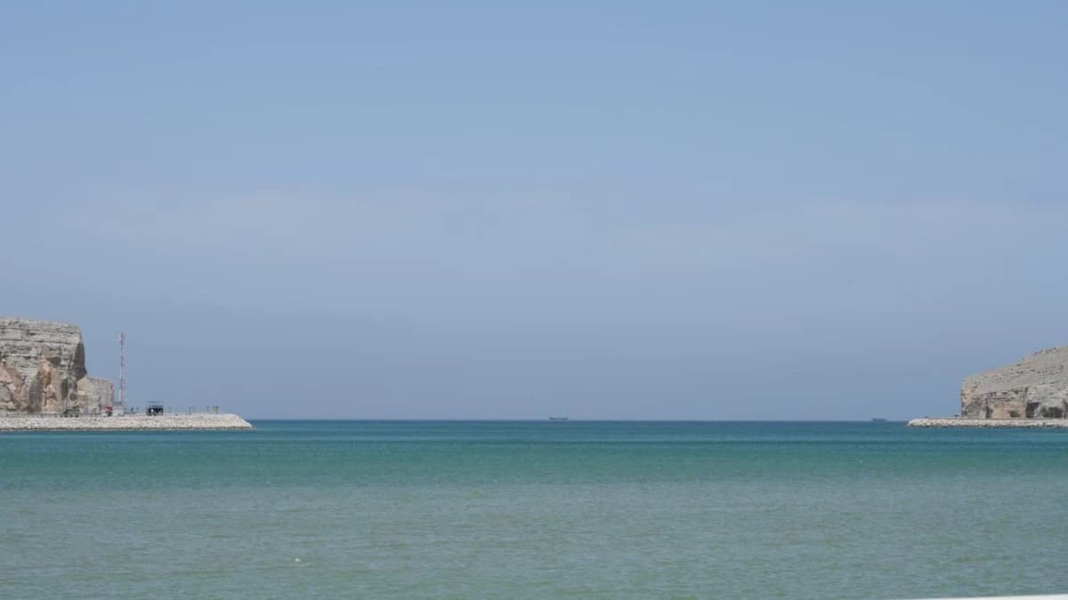 شركات الشحن تلجأ لمسارات غير مألوفة وسط ارتفاع التكلفة واختناقات النقل البحري