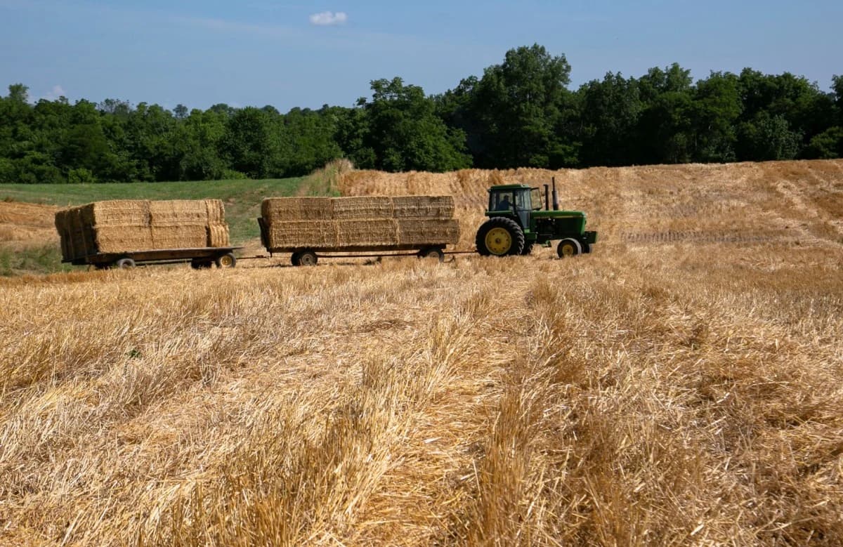 فاو: غلق مضيق هرمز قد يتحول إلى كارثة عالمية في الزراعة والغذاء