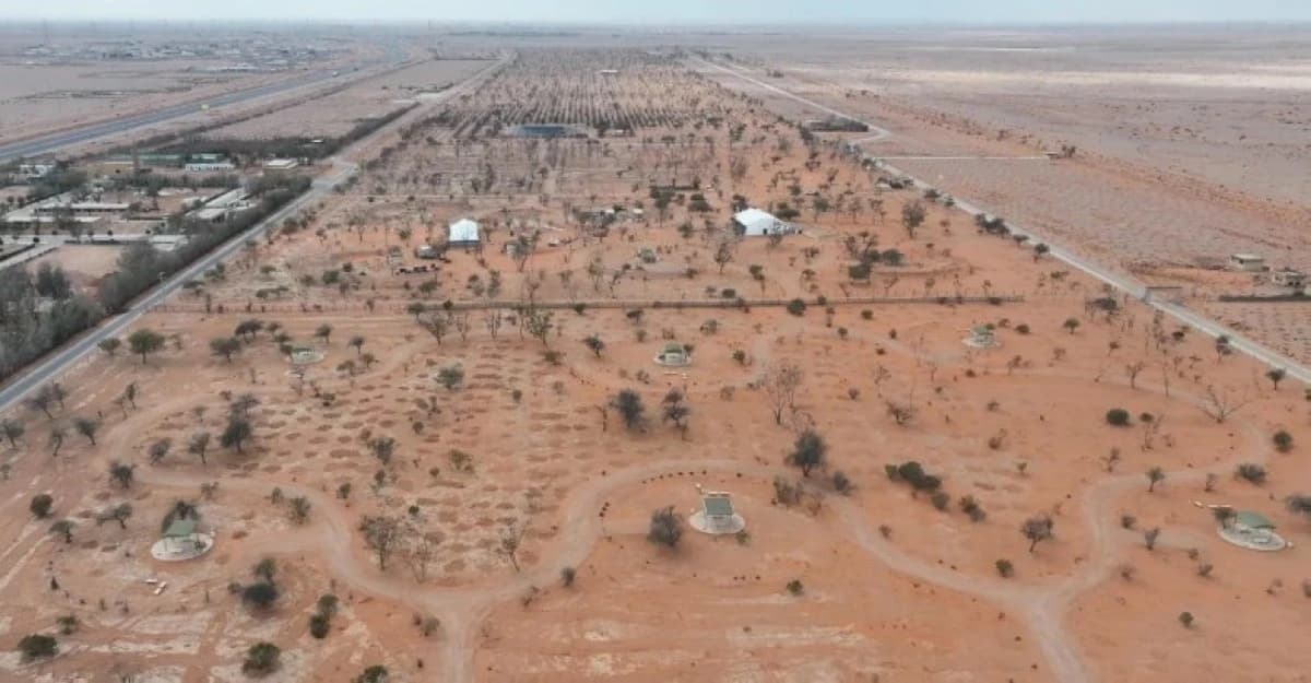 السعودية تطرح 97 فرصة استثمارية في مشاريع الاستدامة البيئية هذا العام