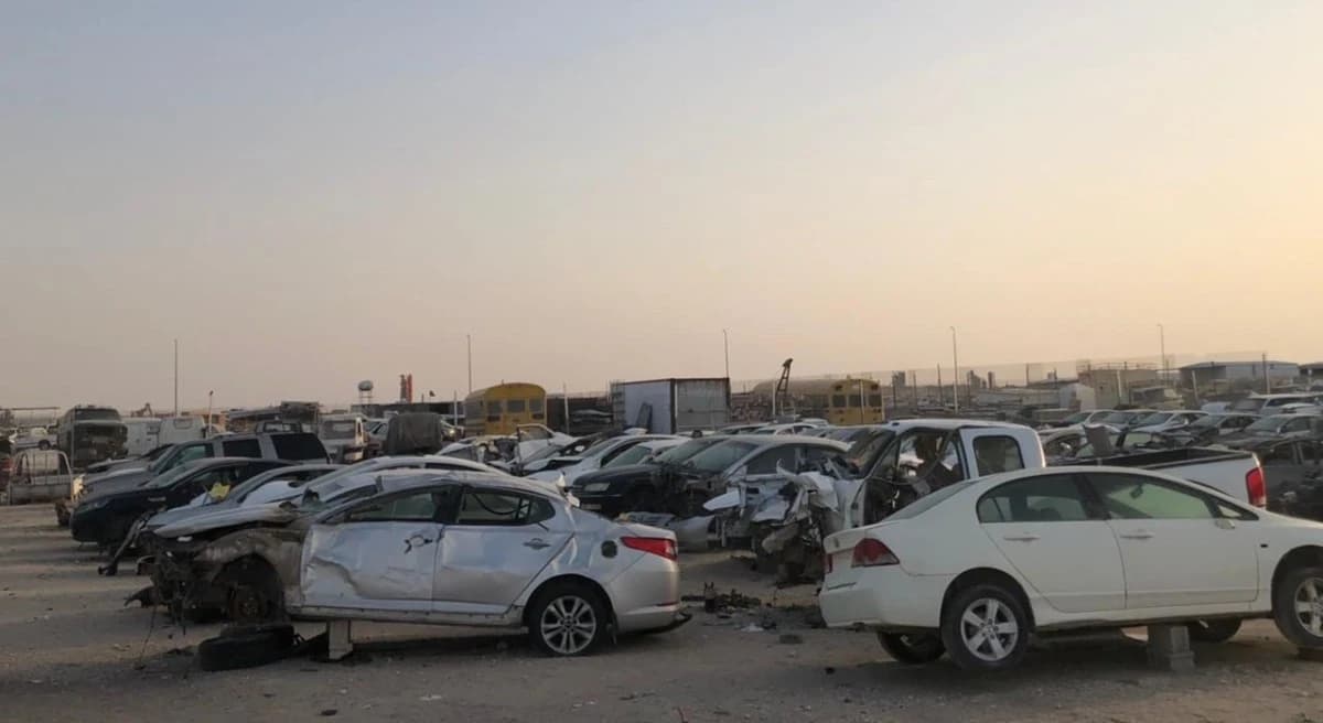 تخصيص 5 ملايين متر لتطوير "تشاليح" الشرقية بعقود 25 عاما