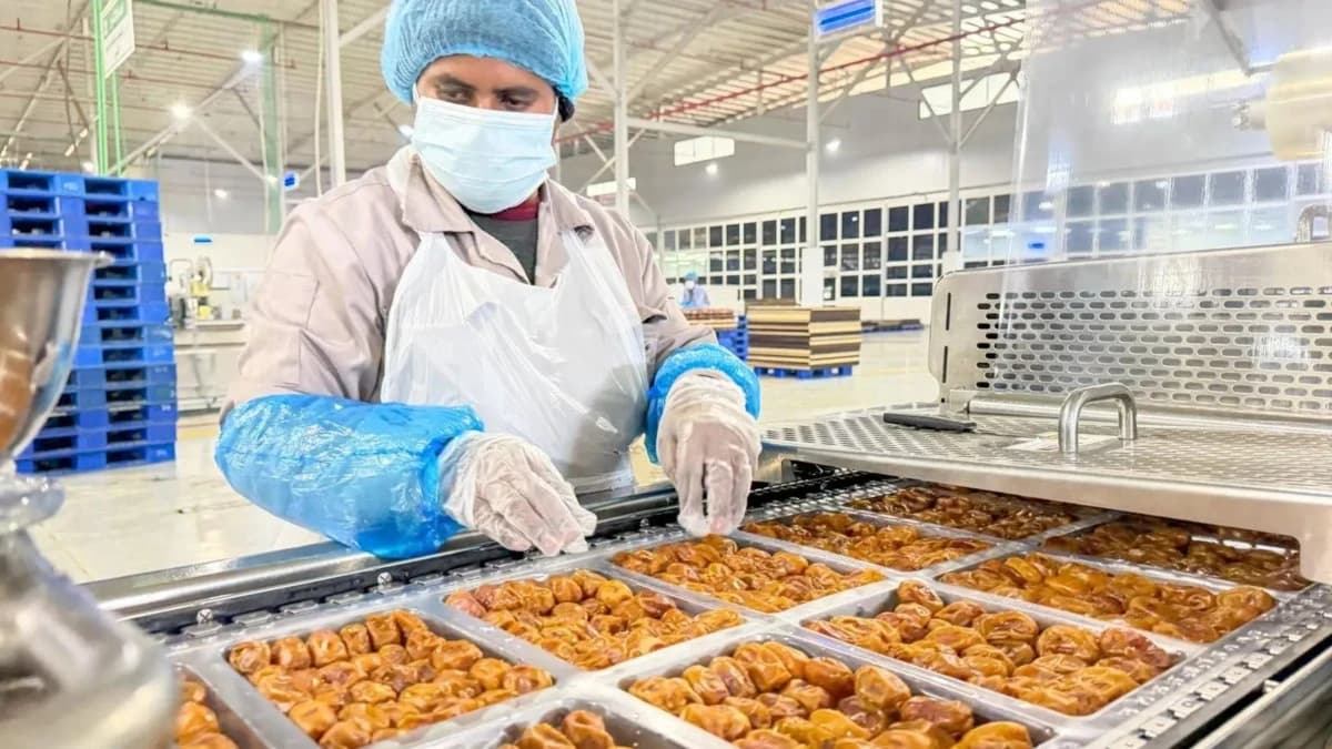 نمو قياسي لصادرات التمور السعودية إلى 1.94 مليار ريال في 2025