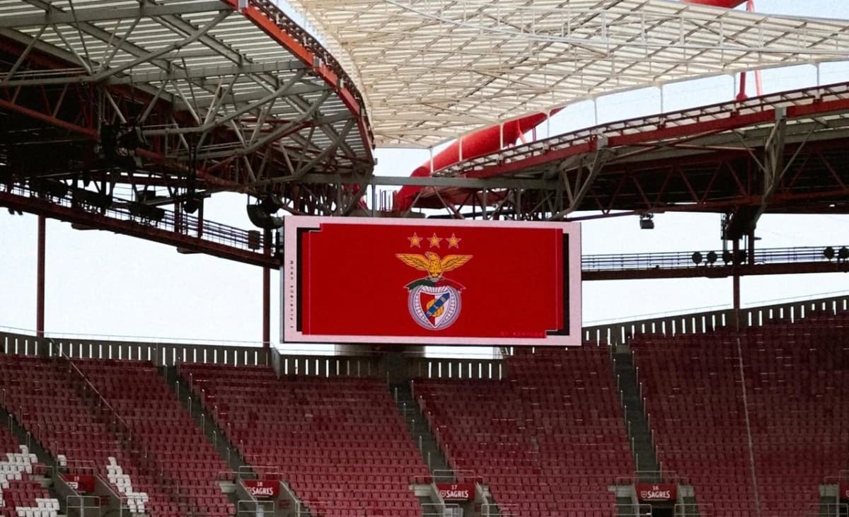 صندوق أمريكي يستحوذ على حصة في بنفيكا بقيمة نحو 25 مليون يورو