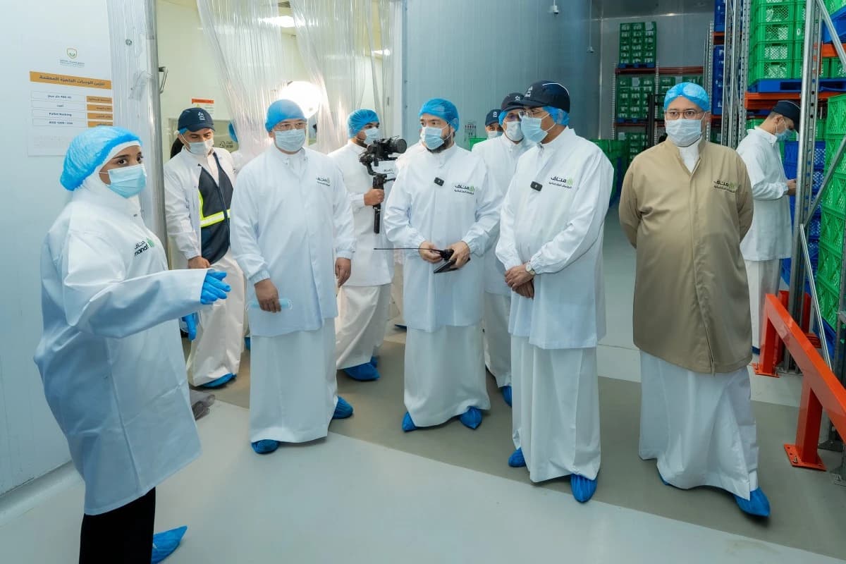 الوجبات المعقمة.. استثمارات بمليارات الريالات في خدمة حجاج البيت