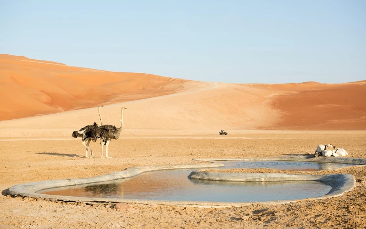 18.3 % مساحة المحميات البرية في السعودية