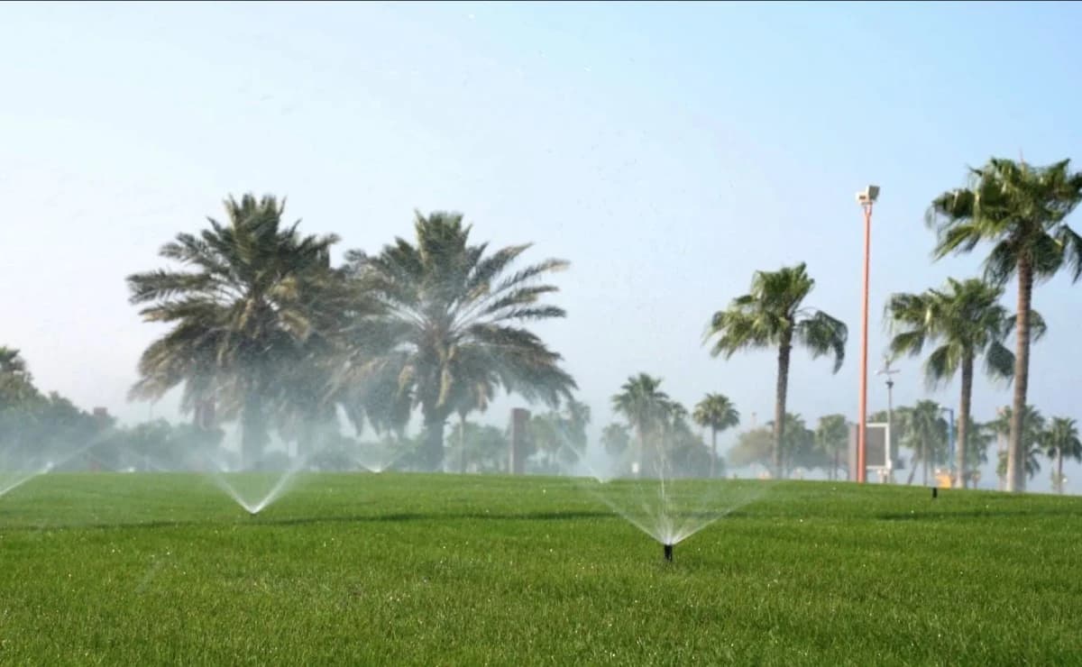 كود الري السعودي يرفع كفاءة استخدام المياه إلى 70% ودخل المزارعين
