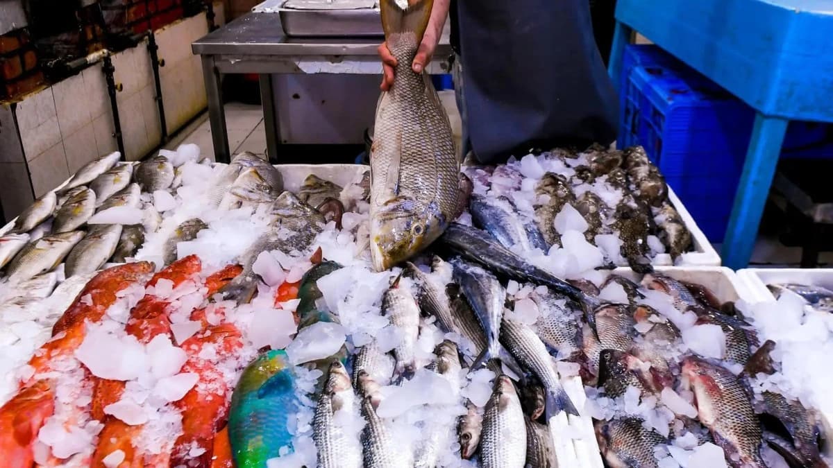 الرياض تفتح أبوابها للبحر.. 45% نمو سجلات محلات الأسماك في عام