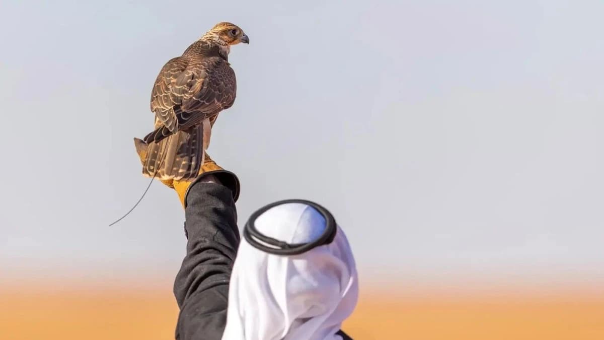 المركز الوطني للصقور يطلق أولى فعالياته 5 أغسطس المقبل في ملهم