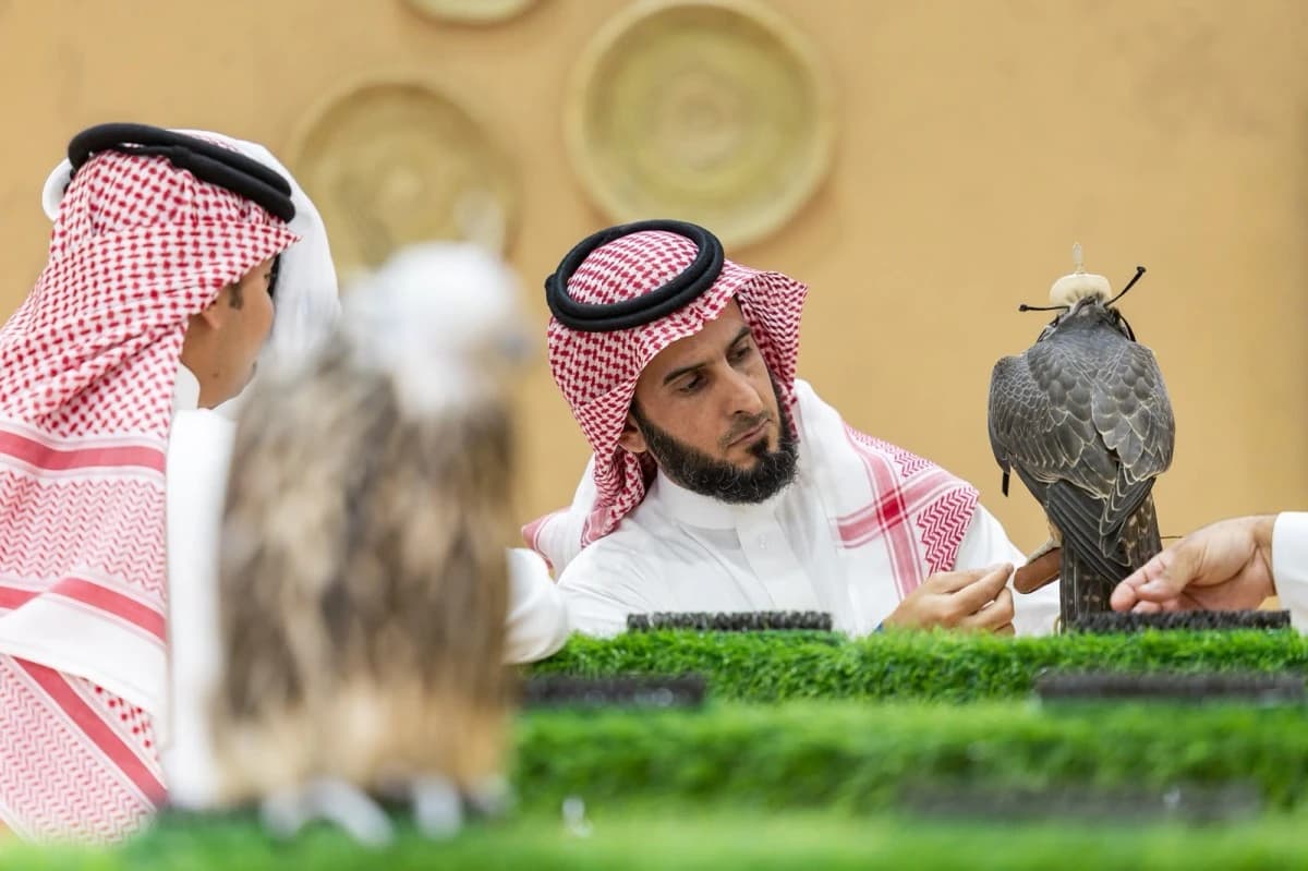 الصقر يتحول لصناعة اقتصادية سعودية من ريشة الموروث إلى نبض السوق