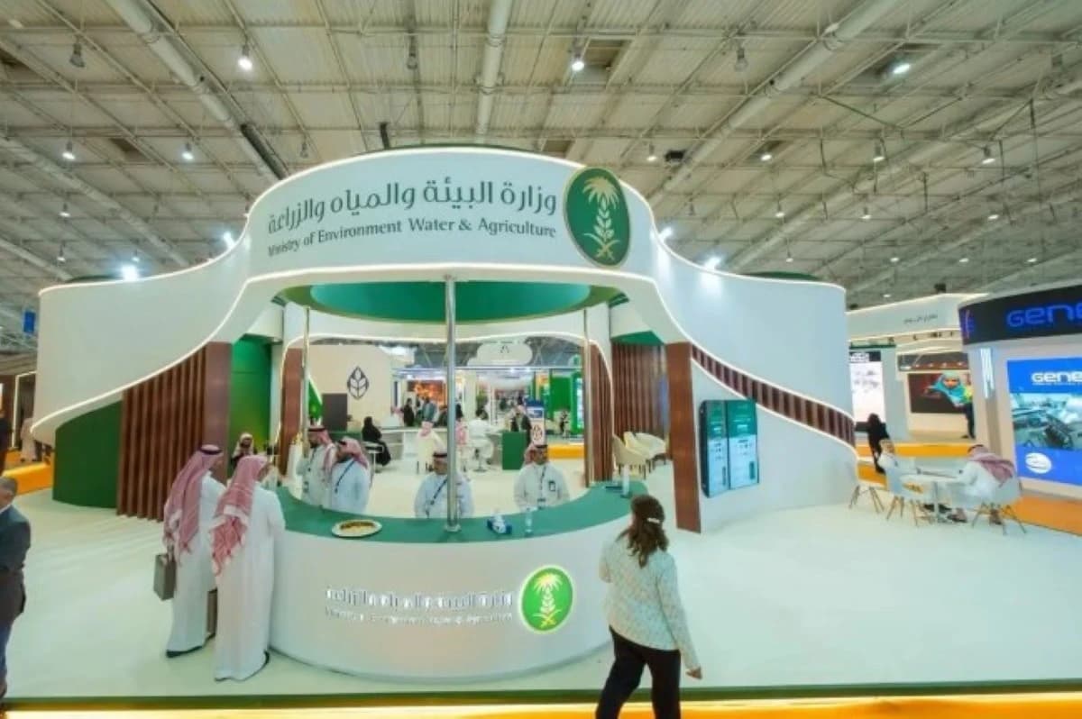 5 مبادرات تعزز توطين صناعة الدواجن في السعودية