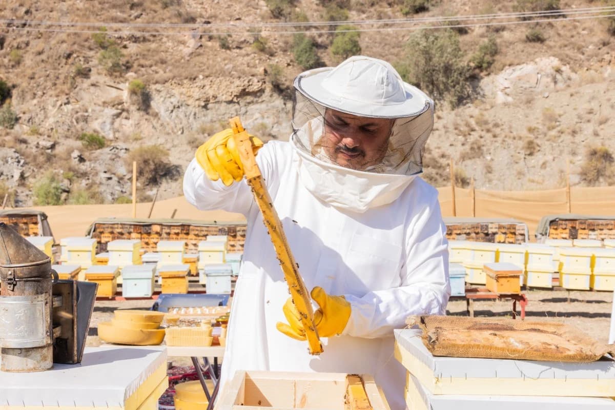 "ريف السعودية": 3.4 ريال عائد الدعم لكل ريال ودخل الأسر الشهري ارتفع 60%