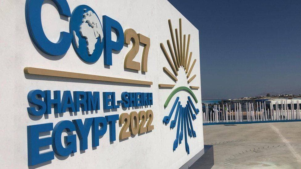مبادرة الشرق الأوسط الأخضر .. قمة المستقبل المشرق