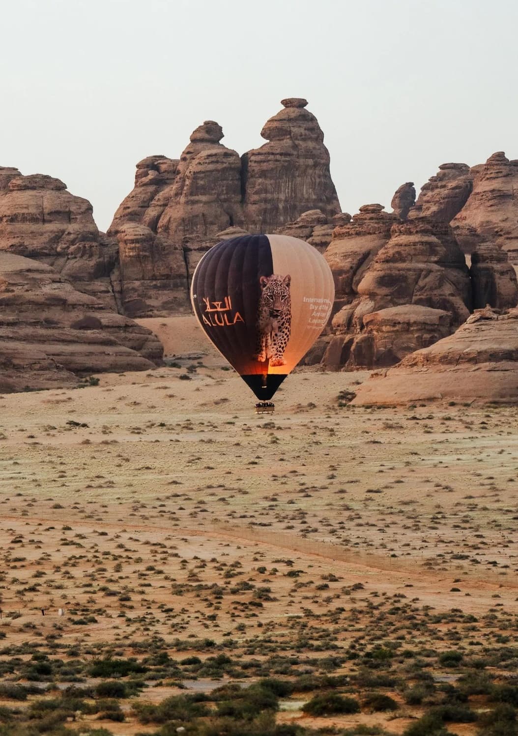 إطلاق 3 مناطيد هوائية في العلا تحمل أيقونات "الحجر وخيبر والنمر العربي"