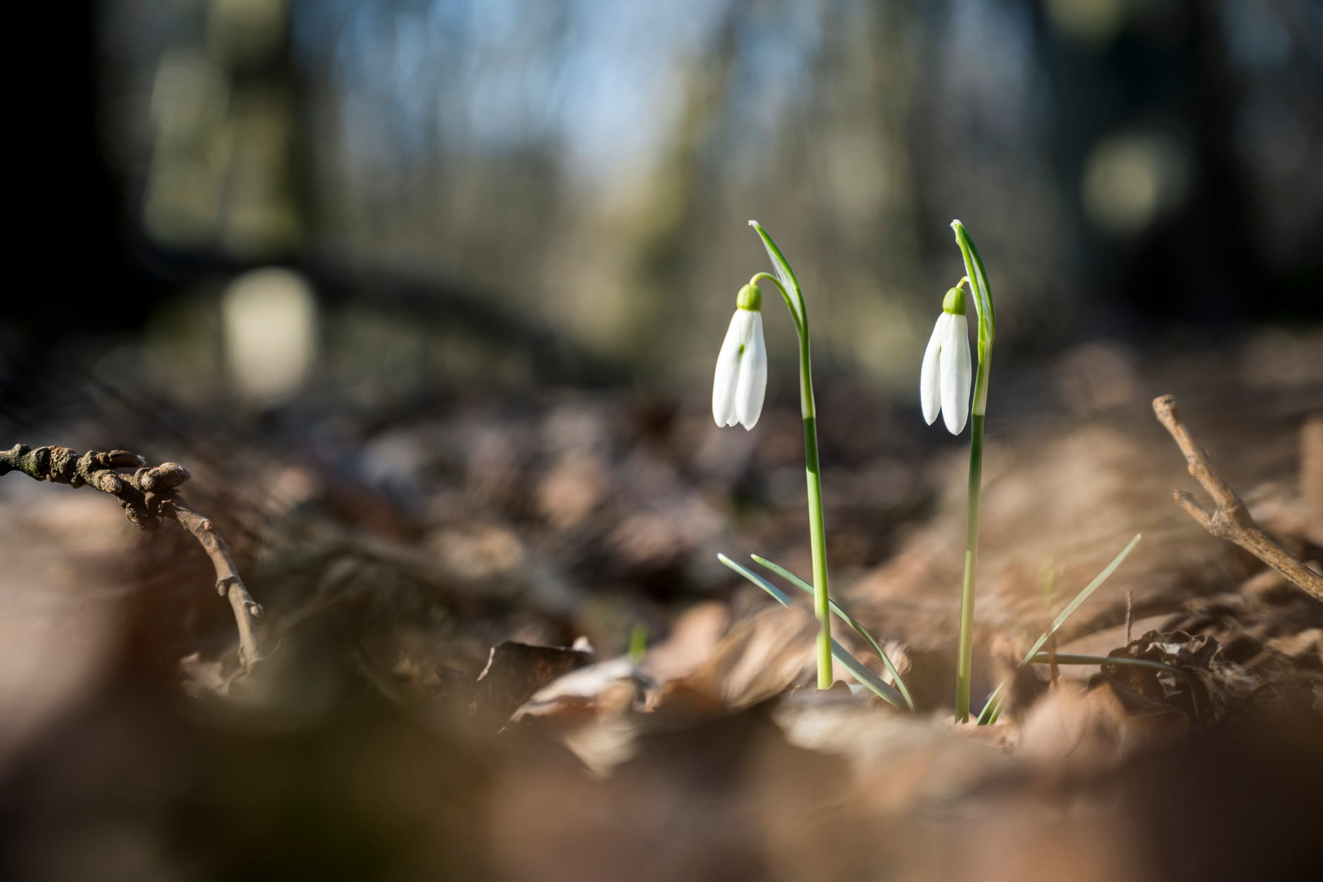 درجة الحرارة في يناير 2020 الأعلى عبر التاريخ
