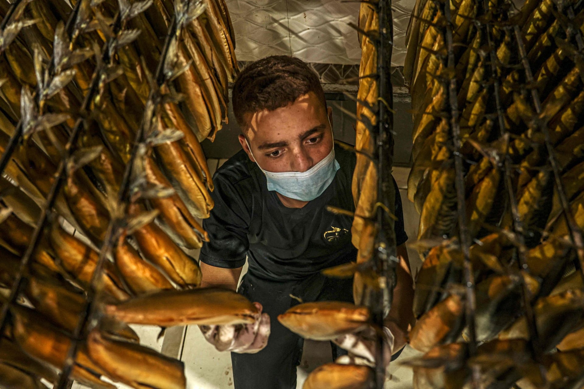 تحضير سمك "الرنجة" المدخن في مدينة رفح الفلسطينية