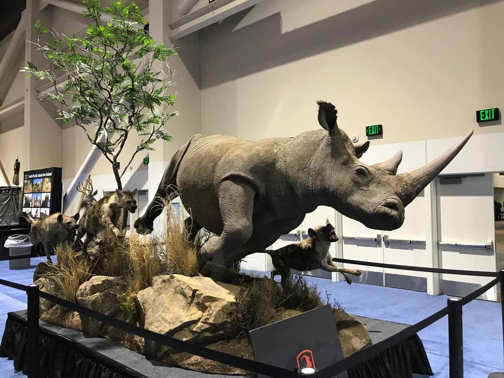 مستقبل محنطي الحيوانات في خطر .. قانون بريطاني يحظر استيرادها