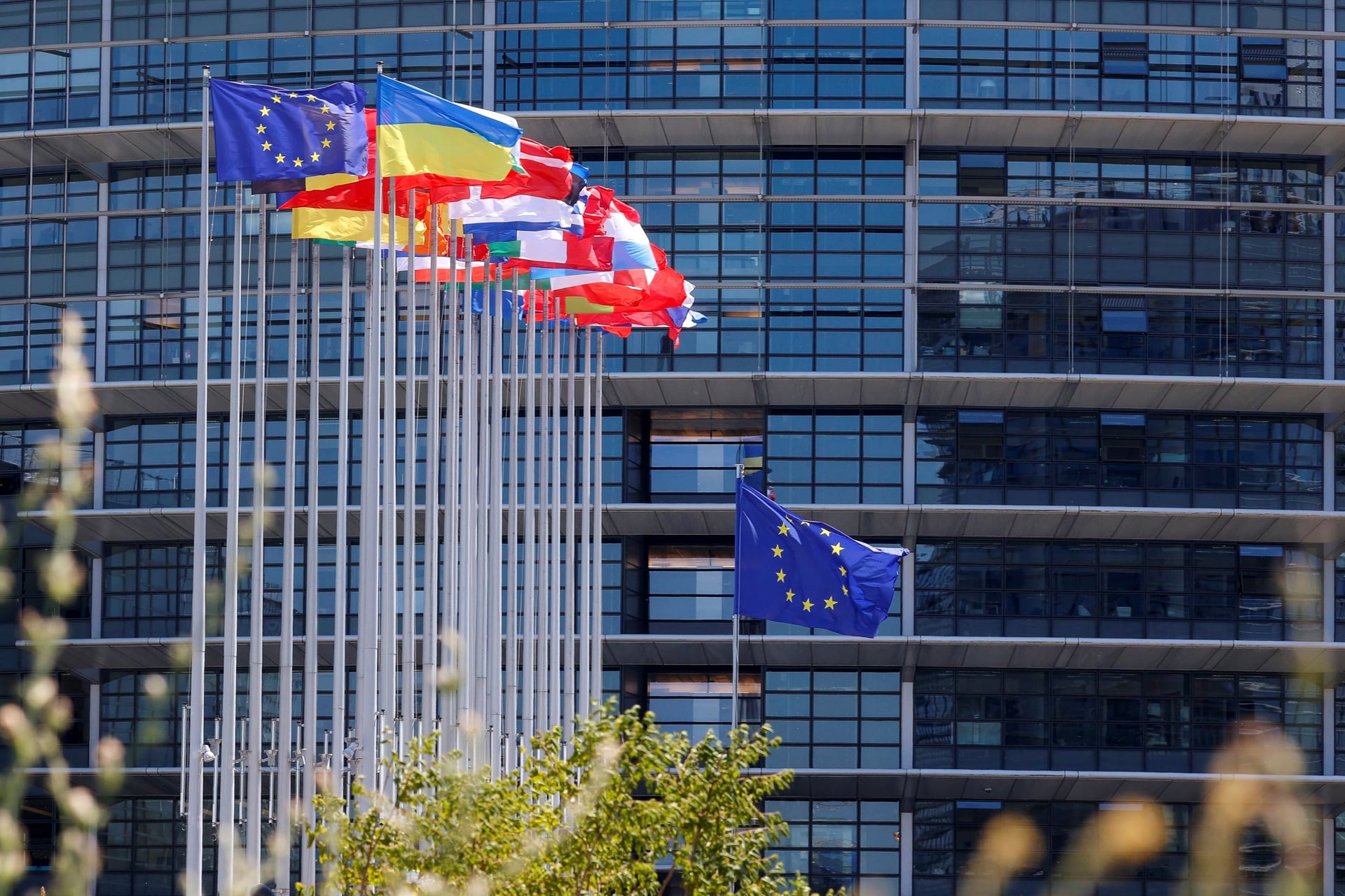 الاتحاد الأوروبي يعتمد رقمنة تأشيرات شنجن لتقليل مخاطر التزوير