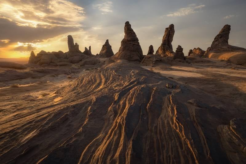 «هيئة تطوير محمية الملك سلمان» تدشن حملة للحفاظ على البيئة