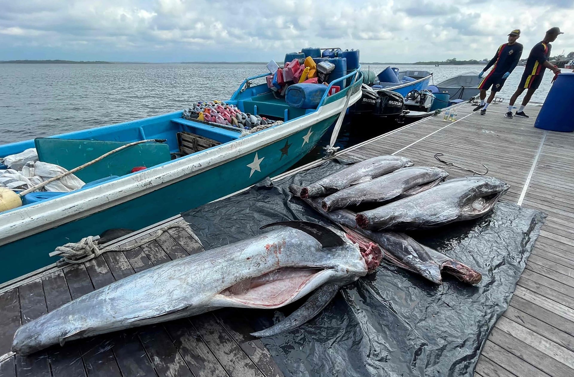 مصادرة 6 أطنان من الأسماك النادرة نقلت بشكل غير قانوني