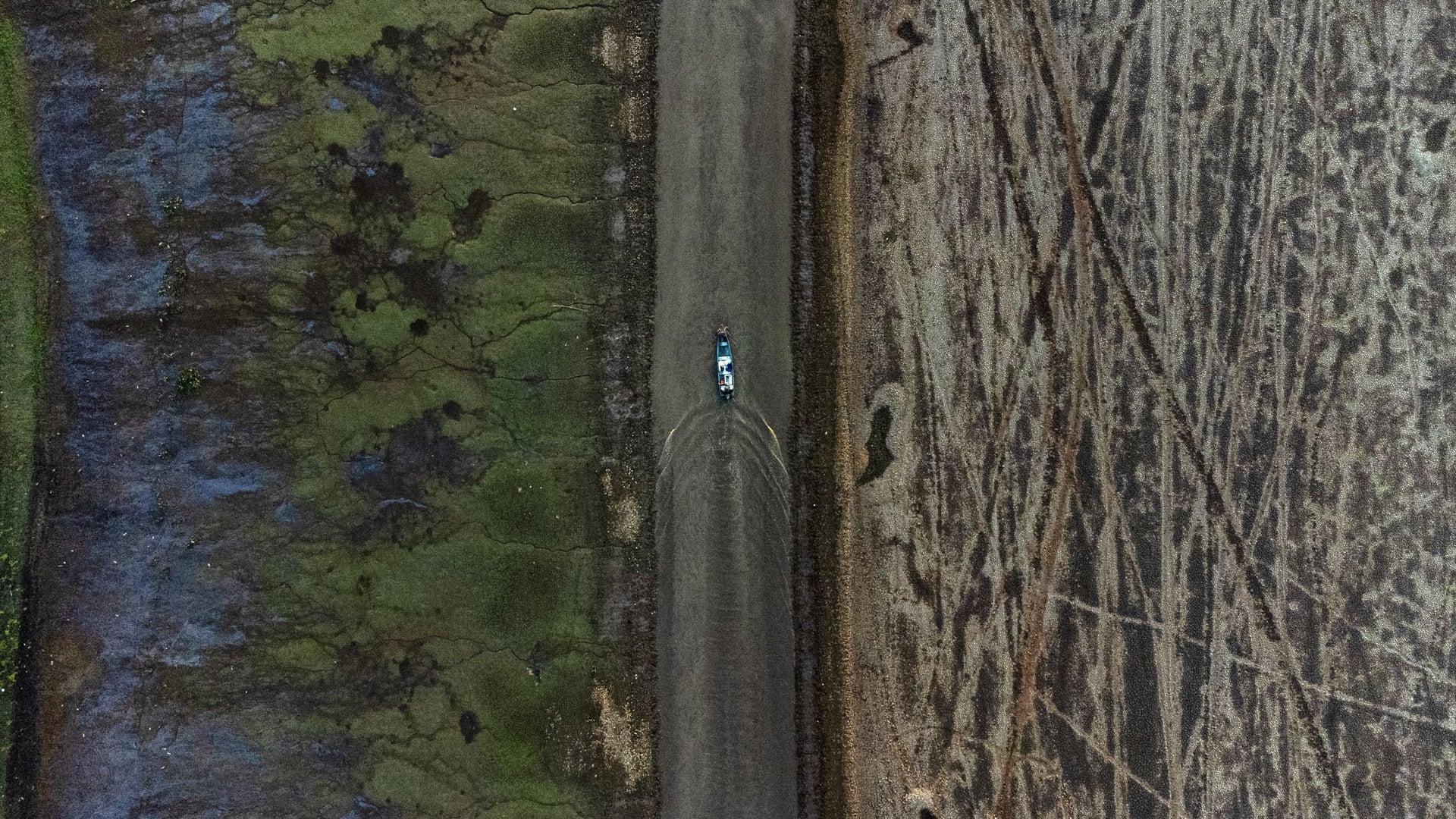 الجفاف يحطم الأرقام القياسية في منطقة الأمازون