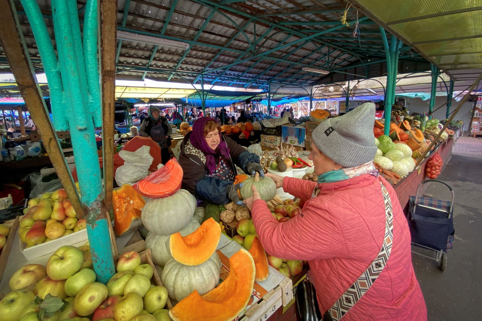 فاكهة موسكو .. زاخرة قبل الشتاء