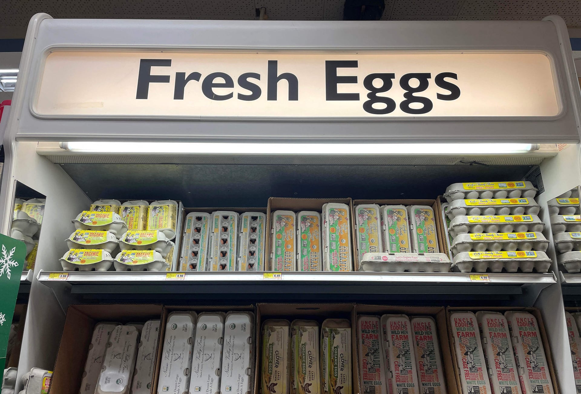 روسيا تعفي البيض من الرسوم الجمركية .. الأسعار ارتفعت 40 %