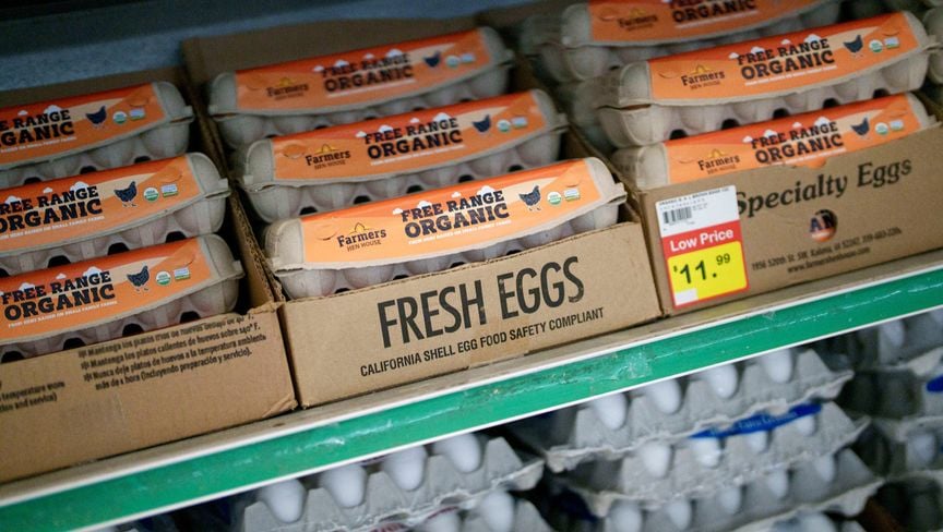 أمريكا تحقق مع شركات بدعوى احتكار ورفع أسعار البيض