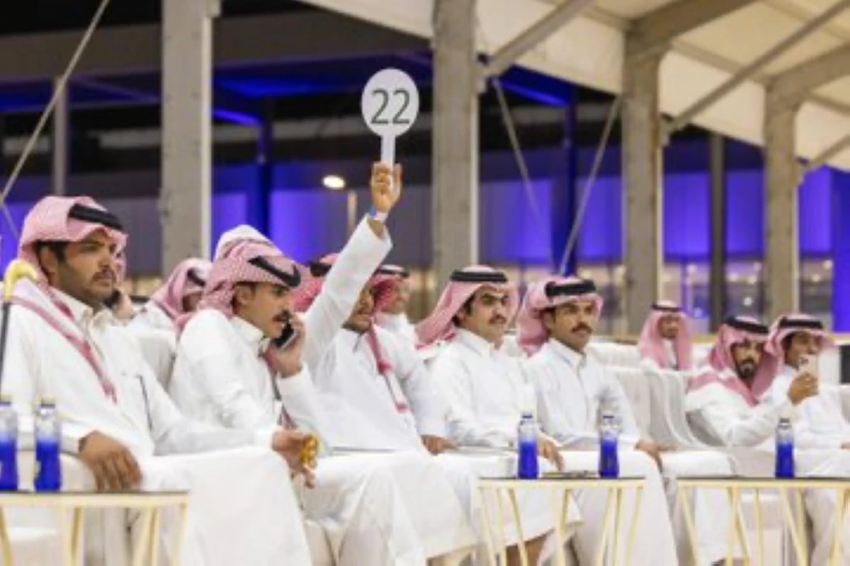 مبيعات اليوم الأول من مزاد الهجن تتجاوز 855 ألف ريال ضمن معرض الصقور السعودي