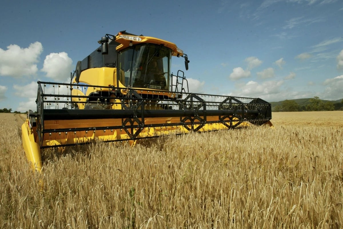 سياسات ترمب قد تدفع أمريكا نحو مجاعة صامتة