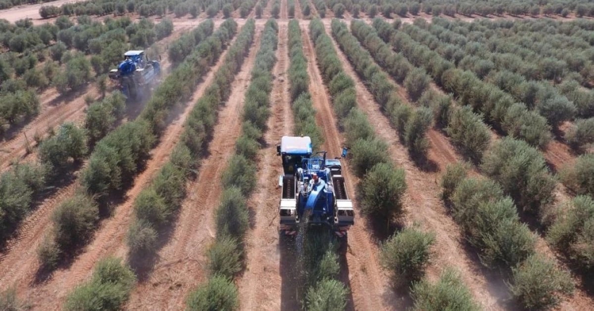 السعودية تدرس زيادة استثماراتها في مشاريع الأمن الغذائي