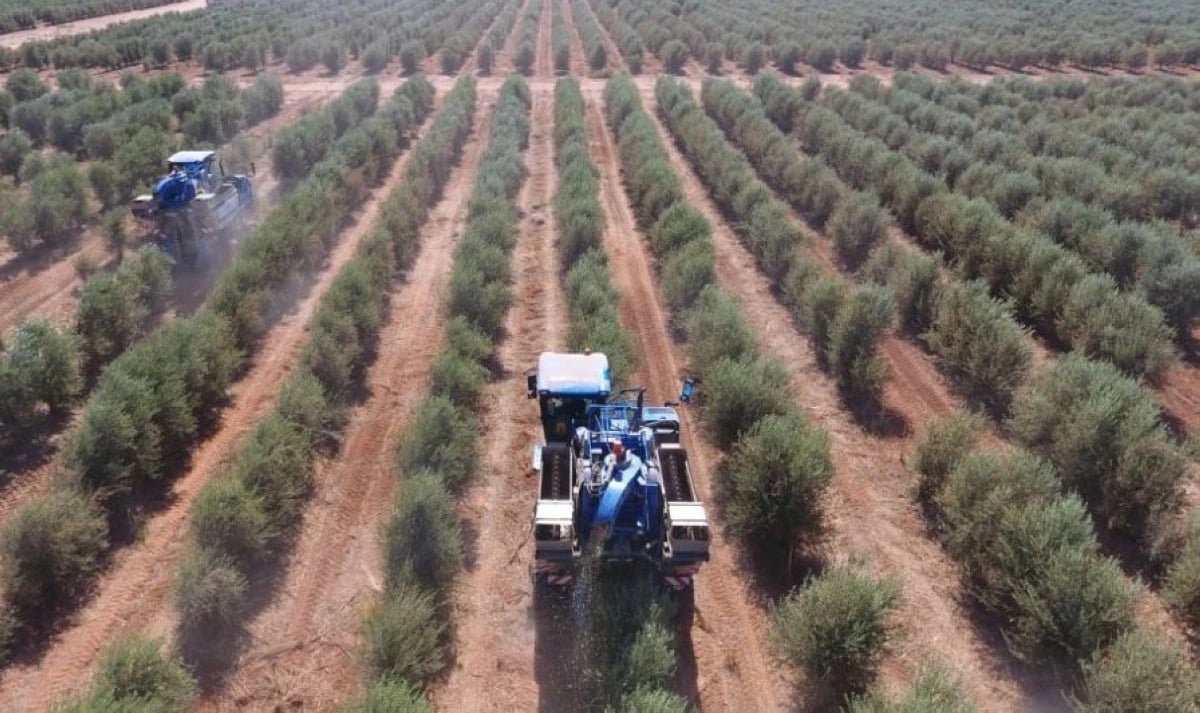 5 طلبات لمشاريع إستراتيجية لتعزيز الأمن الغذائي في السعودية