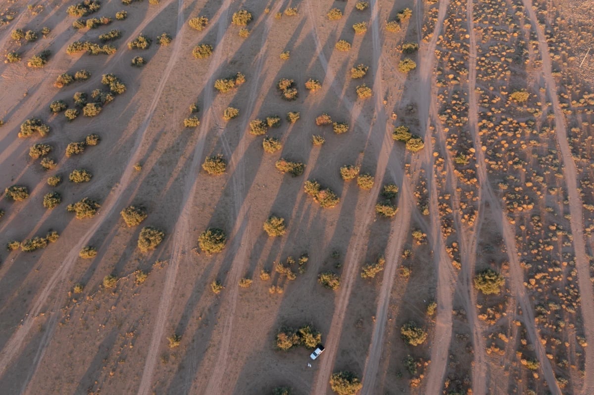 تأهيل 4.7 مليون هكتار من أراضي الفياض والرياض لتعزيز استدامتها