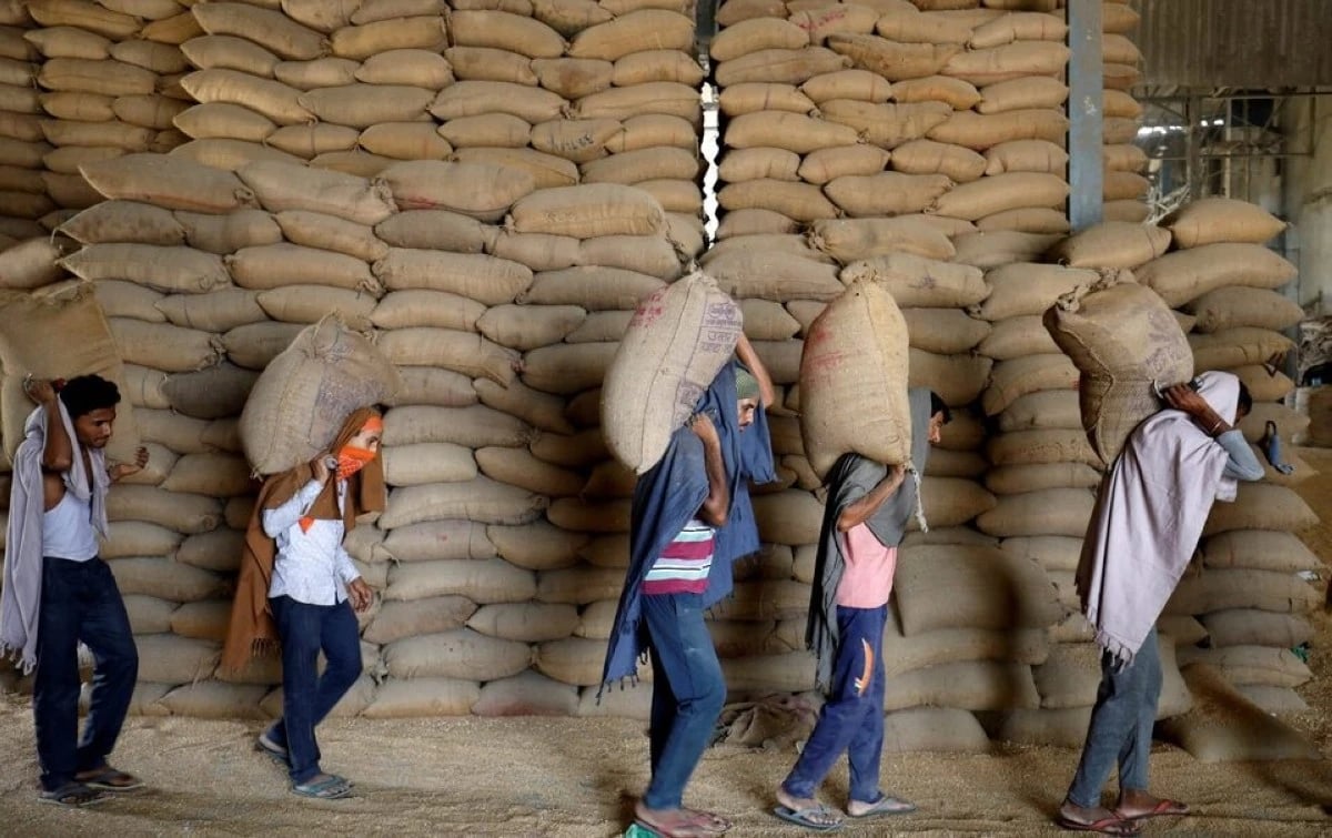 لماذا يتحول العالم من جديد إلى تكديس مخزونات كبيرة من الغذاء؟