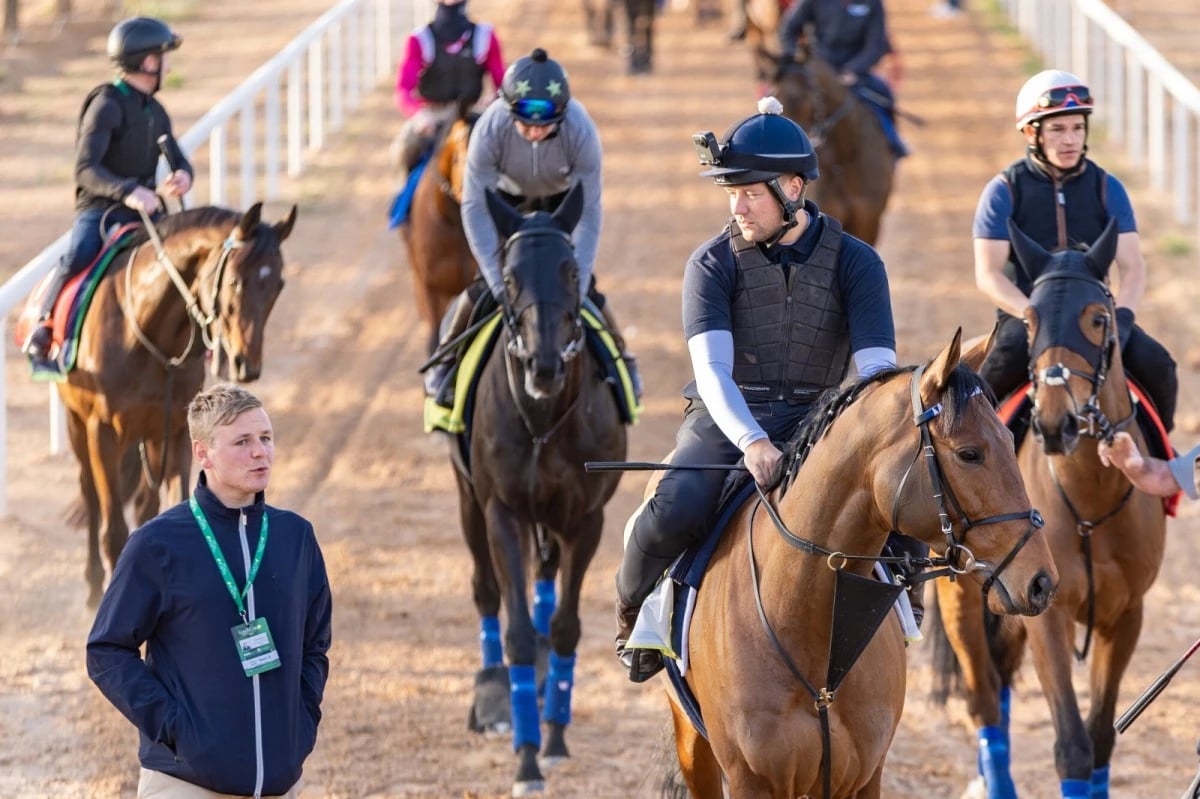 20 مليون ريال القيمة السوقية للخيل الواحد في"كأس السعودية"