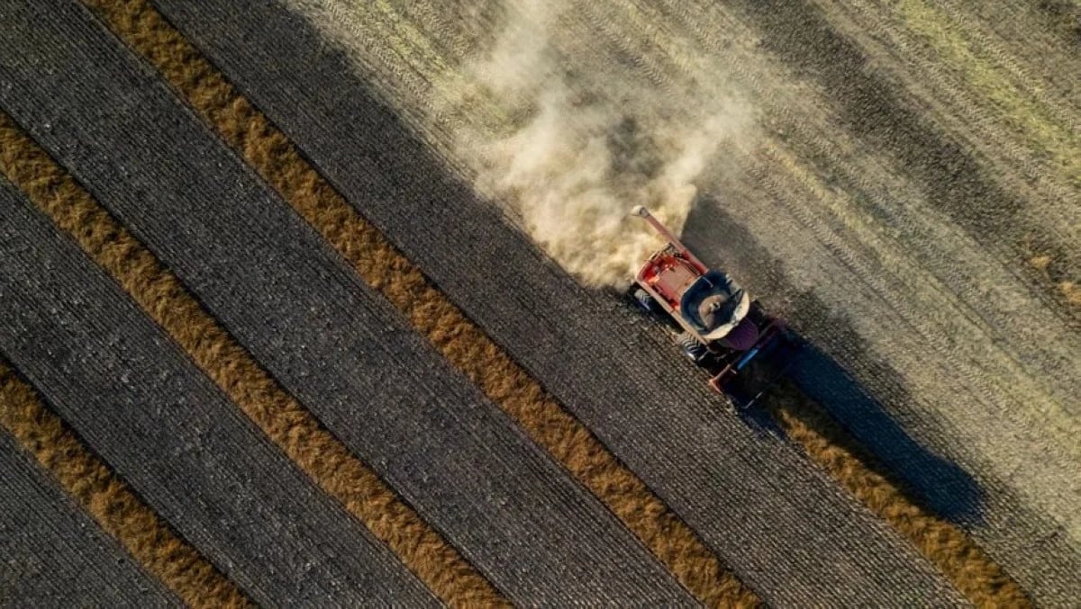الصين توقف الرسوم الجمركية على الكانولا الكندية في خطوة تعزز الانفراج التجاري