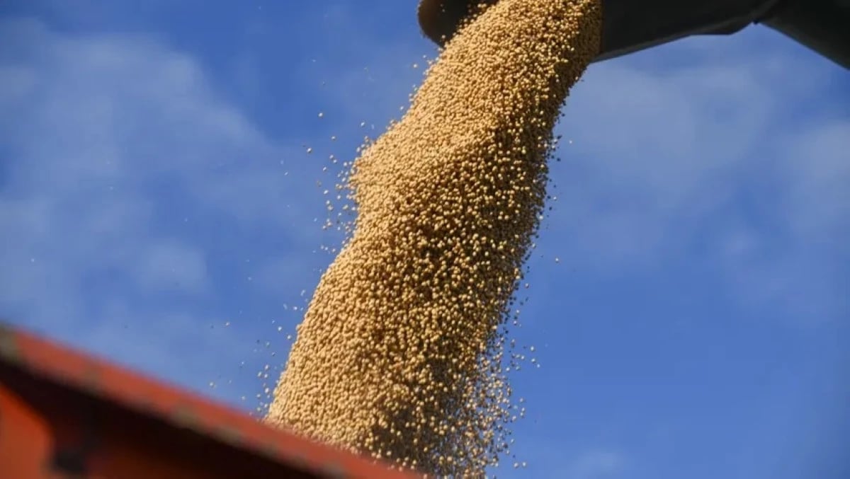 زيت الصويا يقفز لأعلى مستوياته في عامين مدفوعاً بصعود النفط