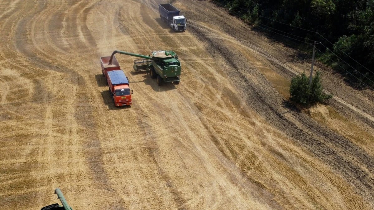 أزمة الوقود بسبب الحرب تهدد الإمدادات الغذائية عالميا